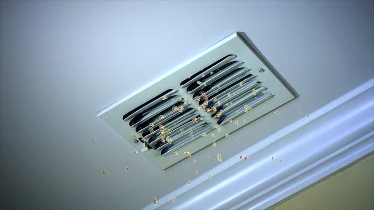 Best HVAC System Cleaning  in Riverside, IL